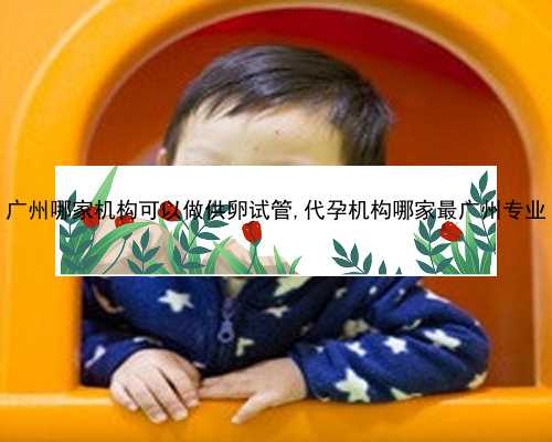 广州专业合法代孕|142Ps_a4455_97462_H4955_一对地贫夫妇的健康宝宝